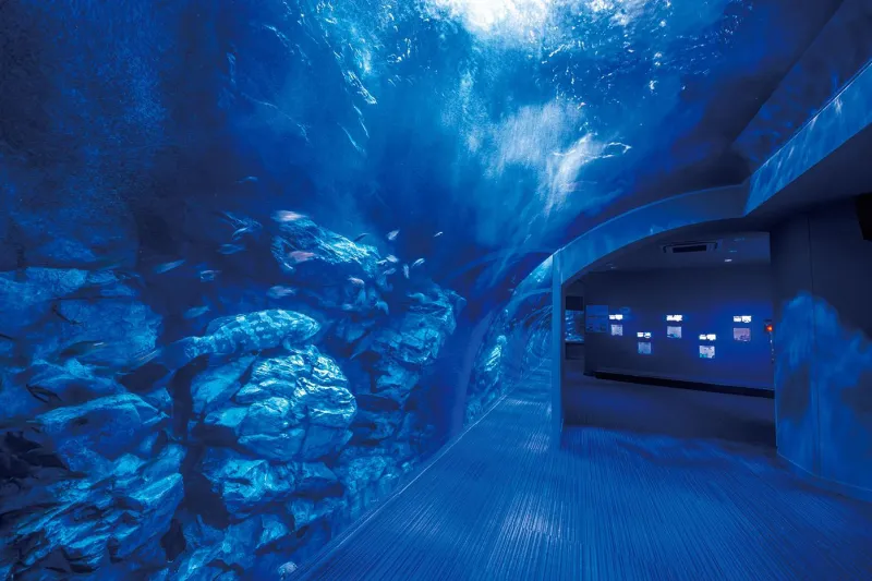 マリンワールド海の中道